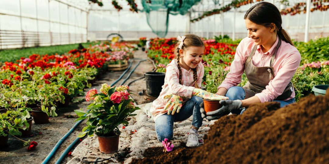 Happy mother and her small daughter working with soil while planting flowers in a greenhouse.